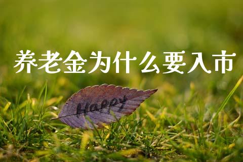 养老金为什么要入市_https://m.jnkyh.com_股指期货_第1张