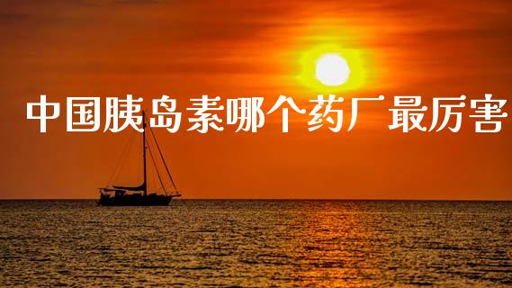 中国胰岛素哪个药厂最厉害_https://m.jnkyh.com_期货开户条件_第1张
