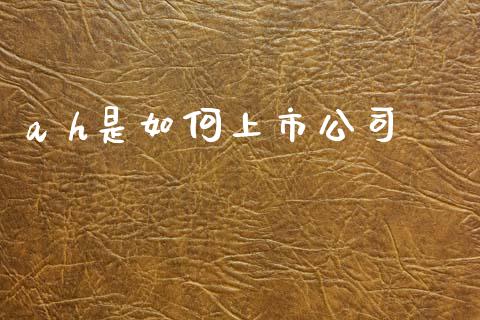 a h是如何上市公司_https://m.jnkyh.com_期货开户条件_第1张
