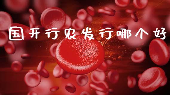 国开行农发行哪个好_https://m.jnkyh.com_股指期货_第1张