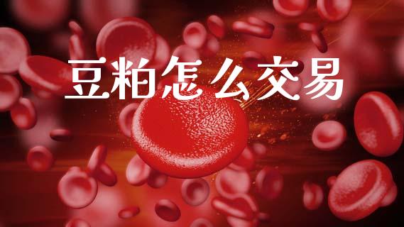 豆粕怎么交易_股指期货_第1张_股指期货_期货开户条件_国际原油_股票交易 豆粕怎么交易_https://m.jnkyh.com_股指期货_第1张
