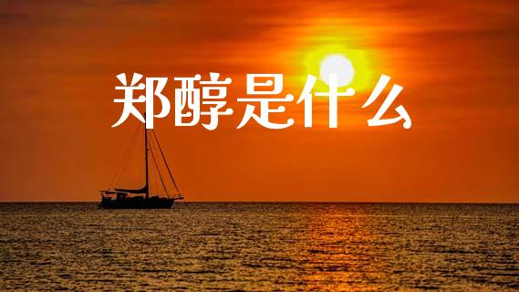 郑醇是什么_https://m.jnkyh.com_股票交易_第1张