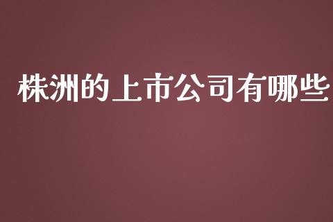 株洲的上市公司有哪些_https://m.jnkyh.com_期货开户条件_第1张