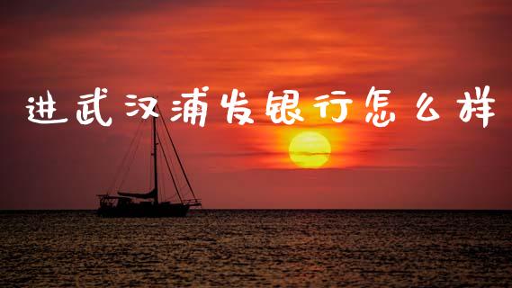 进武汉浦发银行怎么样_https://m.jnkyh.com_期货开户条件_第1张
