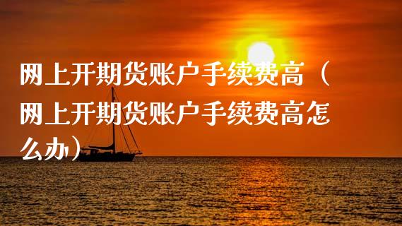 网上开期货账户手续费高（网上开期货账户手续费高怎么办）_https://m.jnkyh.com_股指期货_第1张
