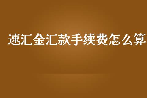 速汇金汇款手续费怎么算_https://m.jnkyh.com_股票交易_第1张
