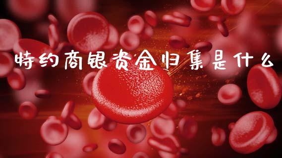 特约商银资金归集是什么_https://m.jnkyh.com_国际原油_第1张