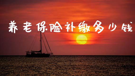 养老保险补缴多少钱_https://m.jnkyh.com_国际原油_第1张