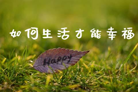 如何生活才能幸福_https://m.jnkyh.com_期货开户条件_第1张