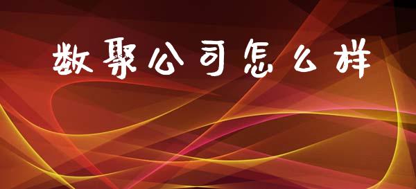 数聚公司怎么样_https://m.jnkyh.com_股票交易_第1张