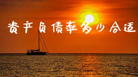 资产负债率多少合适_https://m.jnkyh.com_期货开户条件_第1张