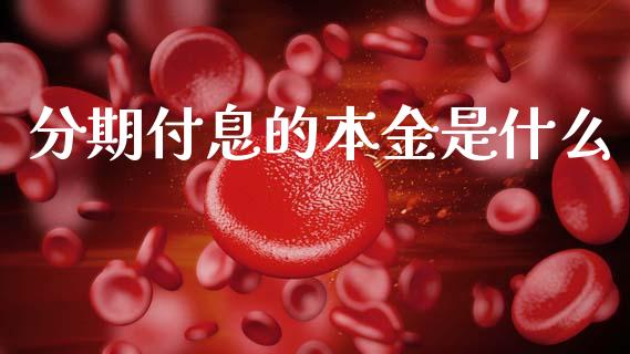 分期付息的本金是什么_https://m.jnkyh.com_股指期货_第1张