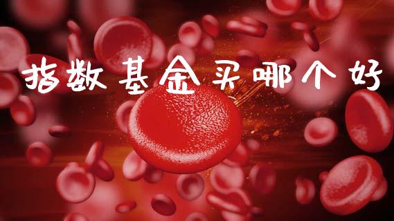 指数基金买哪个好_https://m.jnkyh.com_股票交易_第1张