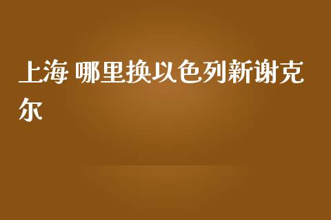上海 哪里换以色列新谢克尔_https://m.jnkyh.com_股指期货_第1张