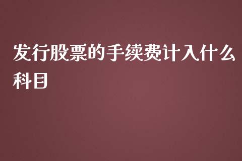 发行股票的手续费计入什么科目_https://m.jnkyh.com_股指期货_第1张