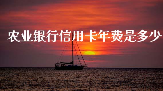 农业银行信用卡年费是多少_https://m.jnkyh.com_期货开户条件_第1张