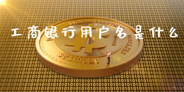 工商银行用户名是什么_https://m.jnkyh.com_期货开户条件_第1张