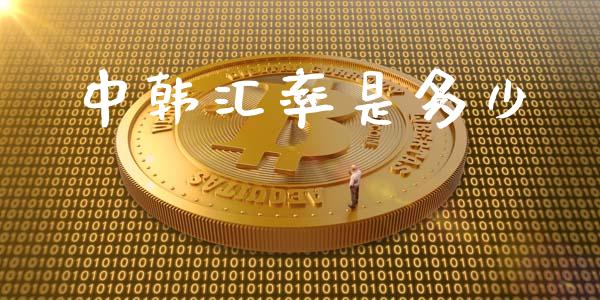 中韩汇率是多少_https://m.jnkyh.com_股指期货_第1张