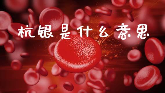 杭银是什么意思_https://m.jnkyh.com_期货开户条件_第1张