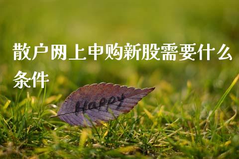 散户网上申购新股需要什么条件_https://m.jnkyh.com_股指期货_第1张
