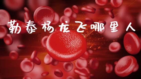 勒泰杨龙飞哪里人_https://m.jnkyh.com_股票交易_第1张