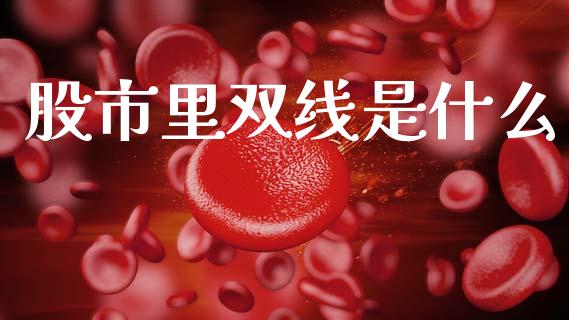 股市里双线是什么_https://m.jnkyh.com_国际原油_第1张