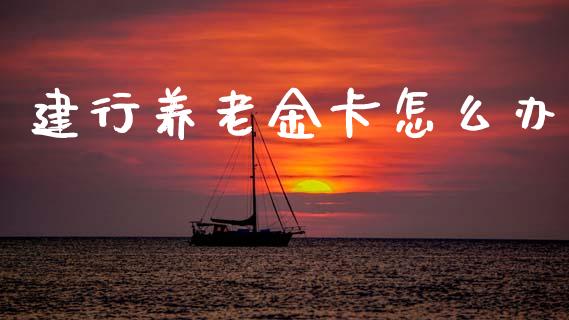 建行养老金卡怎么办_https://m.jnkyh.com_期货开户条件_第1张