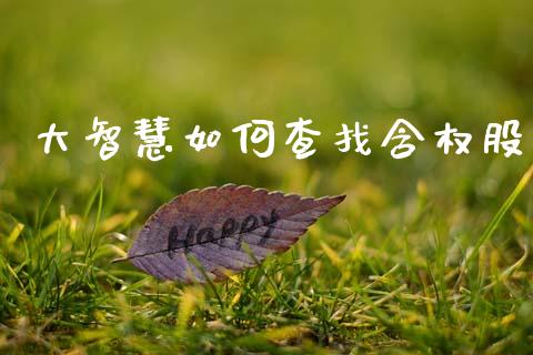 大智慧如何查找含权股_https://m.jnkyh.com_期货开户条件_第1张