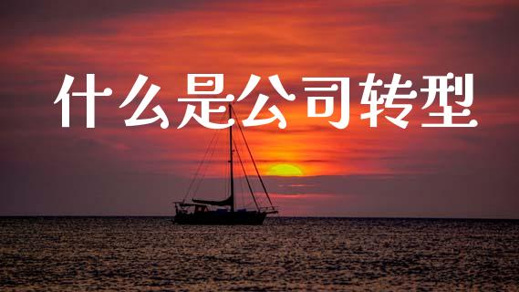 什么是公司转型_https://m.jnkyh.com_股指期货_第1张