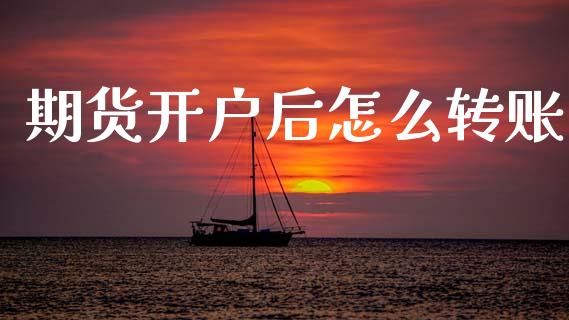 期货开户后怎么转账_https://m.jnkyh.com_期货开户条件_第1张