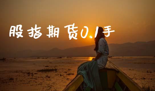 股指期货0.1手_https://m.jnkyh.com_股票交易_第1张