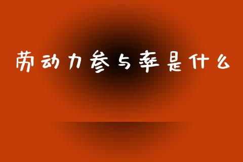 劳动力参与率是什么_https://m.jnkyh.com_股指期货_第1张