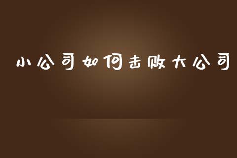 小公司如何击败大公司_https://m.jnkyh.com_股票交易_第1张