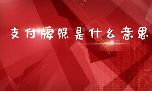 支付牌照是什么意思_https://m.jnkyh.com_股指期货_第1张