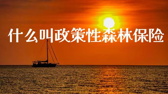 什么叫政策性森林保险_https://m.jnkyh.com_股票交易_第1张