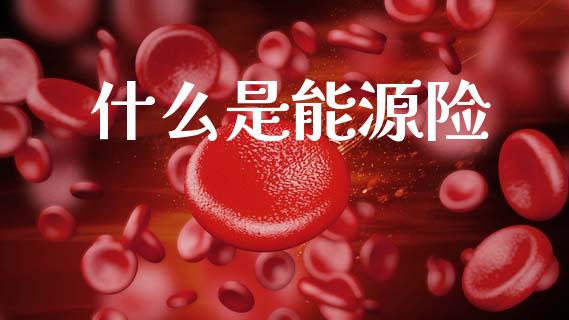 什么是能源险_https://m.jnkyh.com_国际原油_第1张
