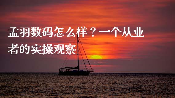 孟羽数码怎么样？一个从业者的实操观察_https://m.jnkyh.com_股票交易_第1张
