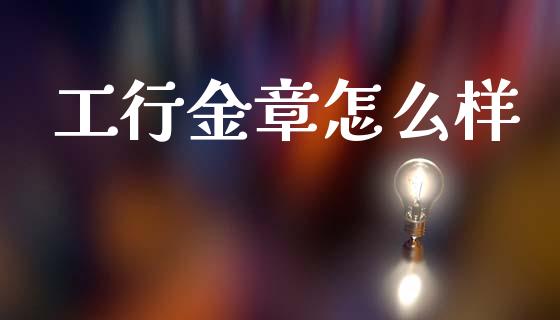 工行金章怎么样_https://m.jnkyh.com_股指期货_第1张
