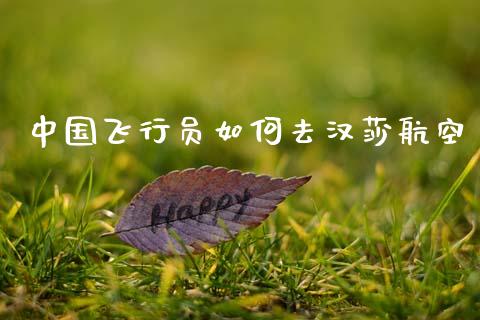 中国飞行员如何去汉莎航空_https://m.jnkyh.com_期货开户条件_第1张