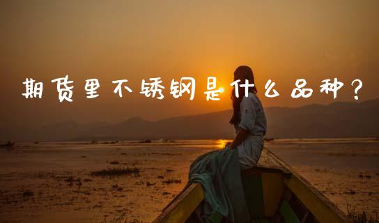 期货里不锈钢是什么品种？_https://m.jnkyh.com_股票交易_第1张