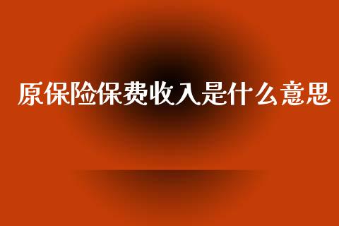 原保险保费收入是什么意思_https://m.jnkyh.com_期货开户条件_第1张