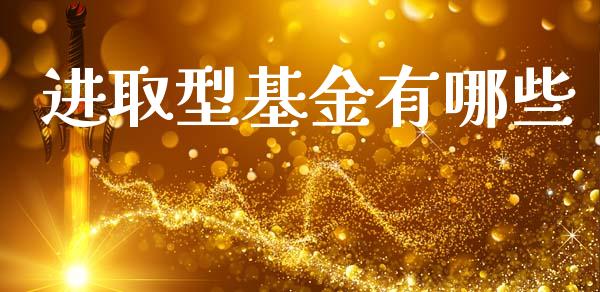 进取型基金有哪些_https://m.jnkyh.com_股票交易_第1张