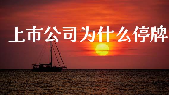 上市公司为什么停牌_https://m.jnkyh.com_国际原油_第1张