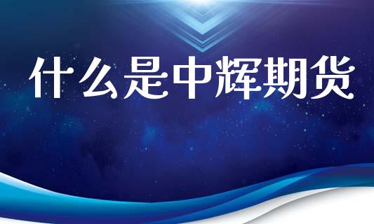 什么是中辉期货_https://m.jnkyh.com_股指期货_第1张