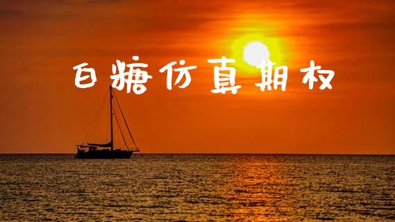 白糖仿真期权_https://m.jnkyh.com_股票交易_第1张