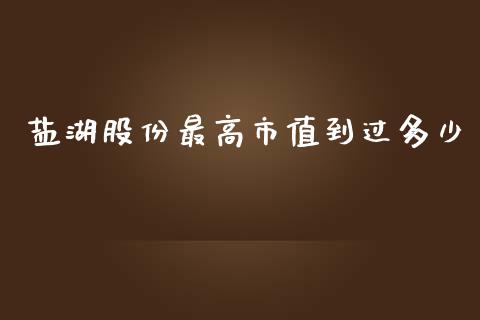 盐湖股份最高市值到过多少_https://m.jnkyh.com_股票交易_第1张