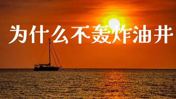 为什么不轰炸油井_https://m.jnkyh.com_期货开户条件_第1张