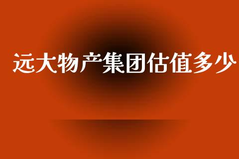 远大物产集团估值多少_https://m.jnkyh.com_股指期货_第1张