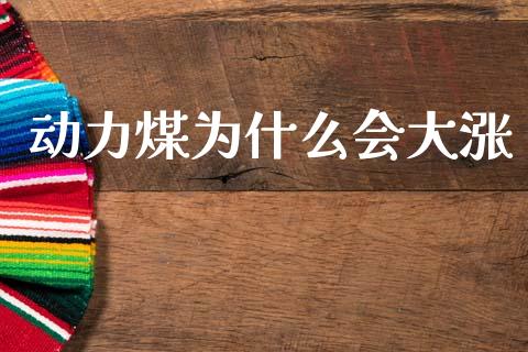 动力煤为什么会大涨_期货开户条件_第1张_股指期货_期货开户条件_国际原油_股票交易 动力煤为什么会大涨_https://m.jnkyh.com_期货开户条件_第1张