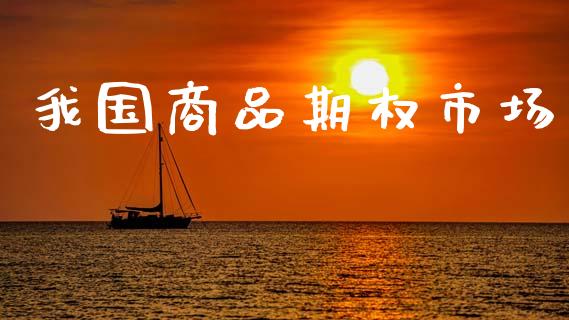 我国商品期权市场_https://m.jnkyh.com_国际原油_第1张